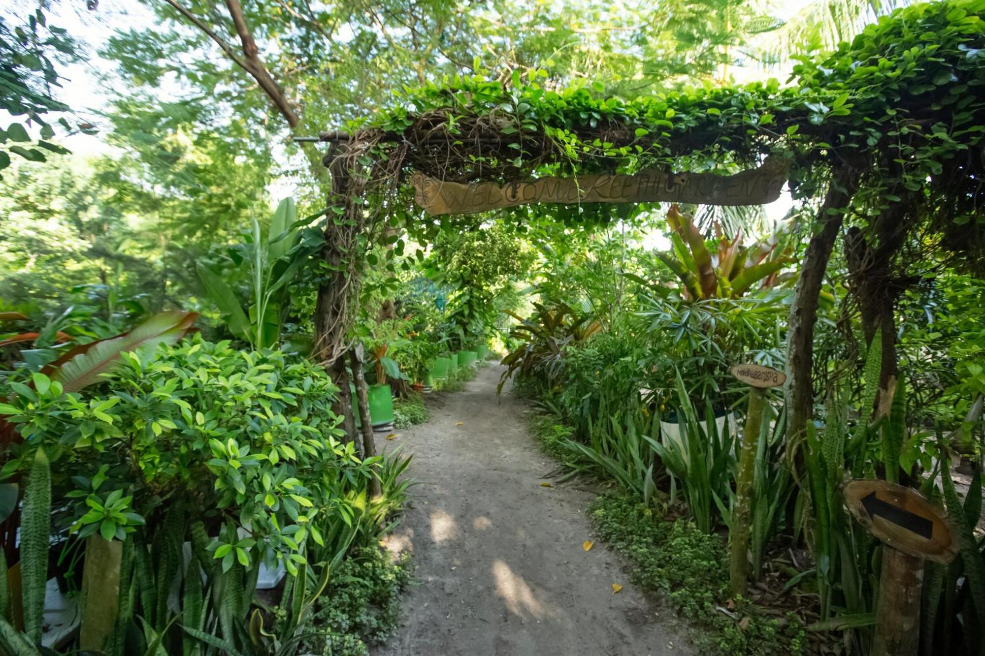 Reethi 4* Kamadhoo